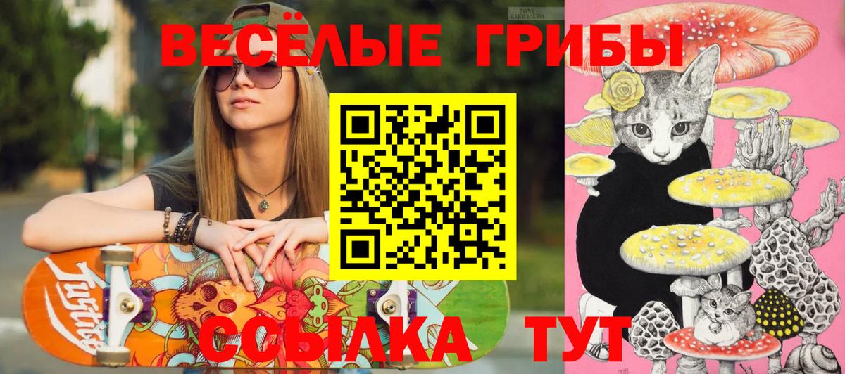 Псилоцибиновые грибы ЛСД Чайковский
