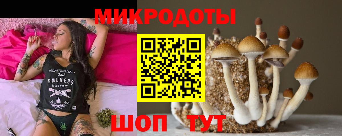 цена наркотик  Галлюциногенные грибы Cubensis  Вход с VPN  Чайковский  Псилоцибиновые грибы Psilocybe 
